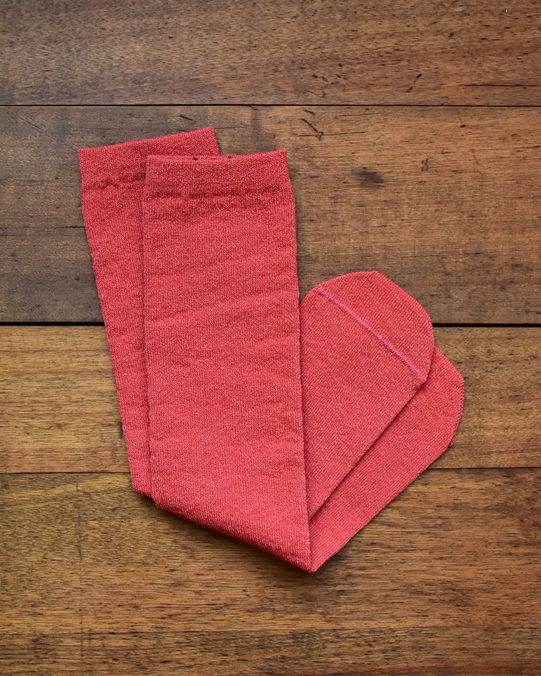 aligatos | paper 01 carot