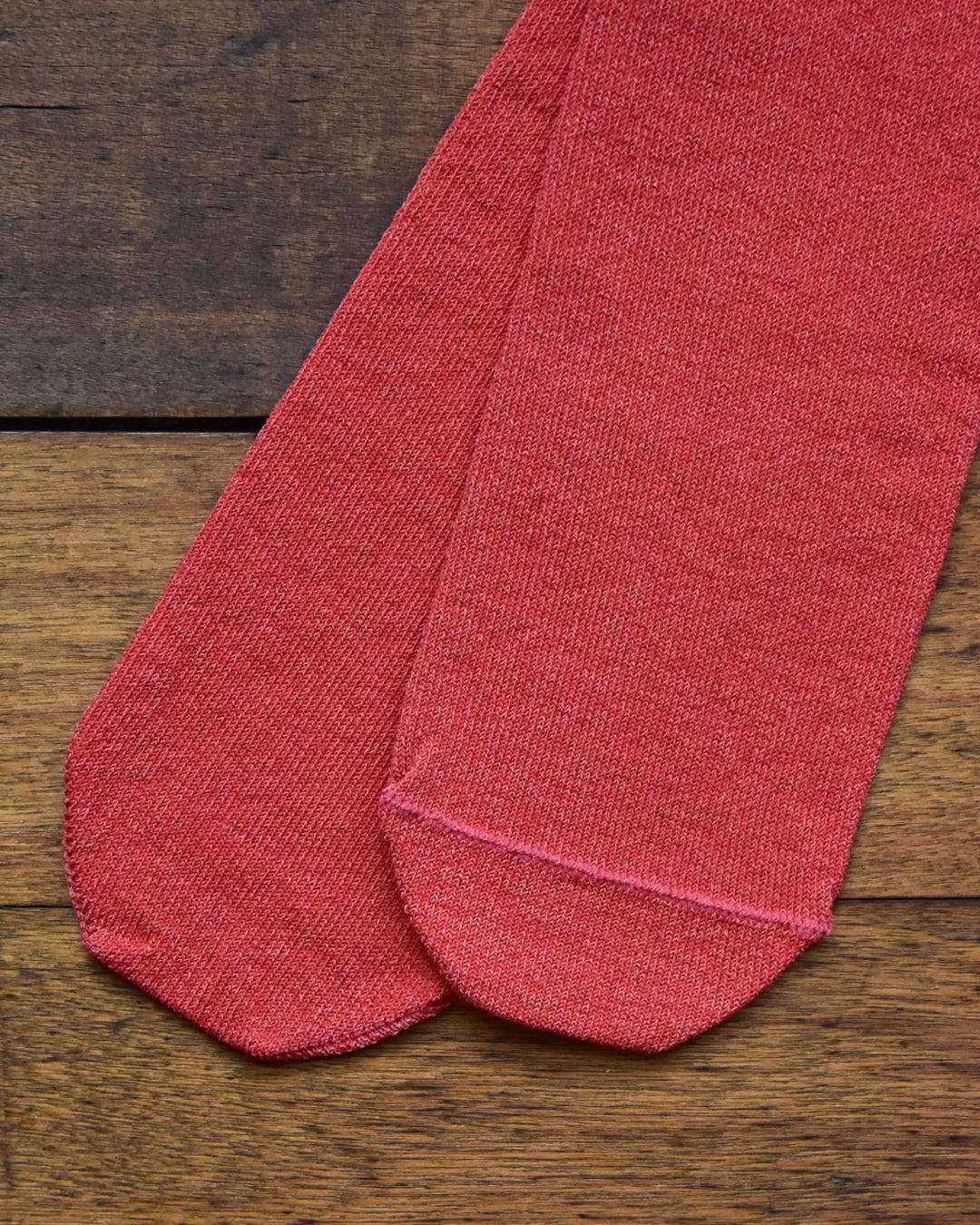 aligatos | paper 01 carot