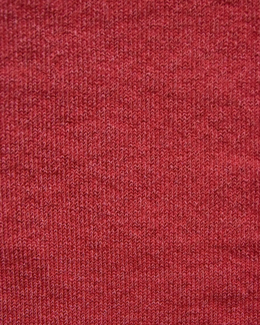 aligatos | paper 01 carot