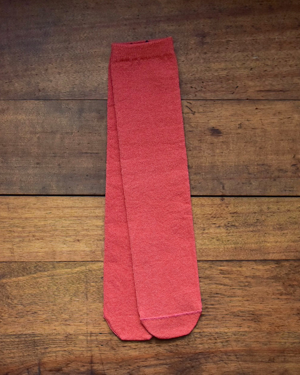 aligatos | paper 01 carot